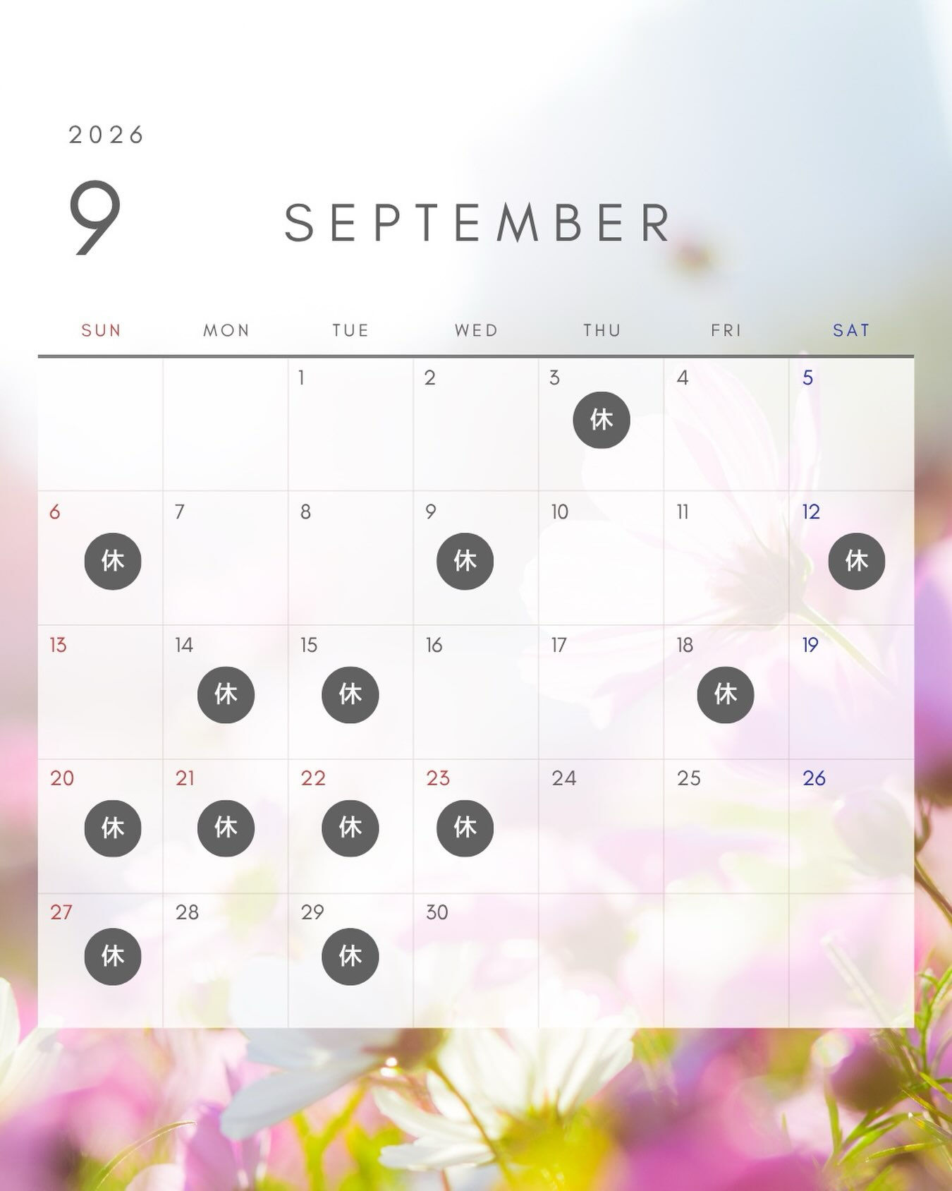 9月のスケジュールのお知らせです🍂