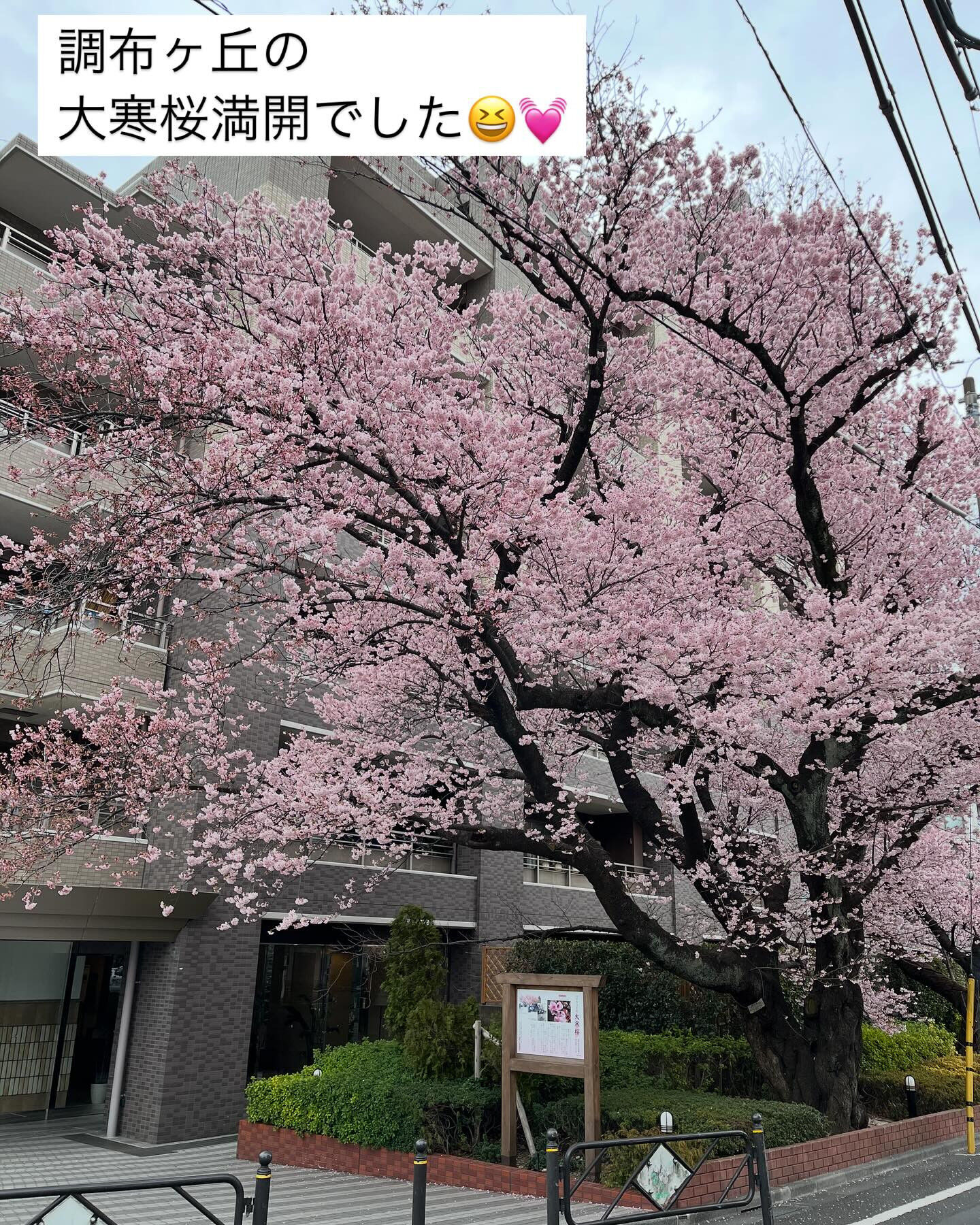 ✂️Okuドライカット✂️は、髪に新しい命✨を吹き込みます💇