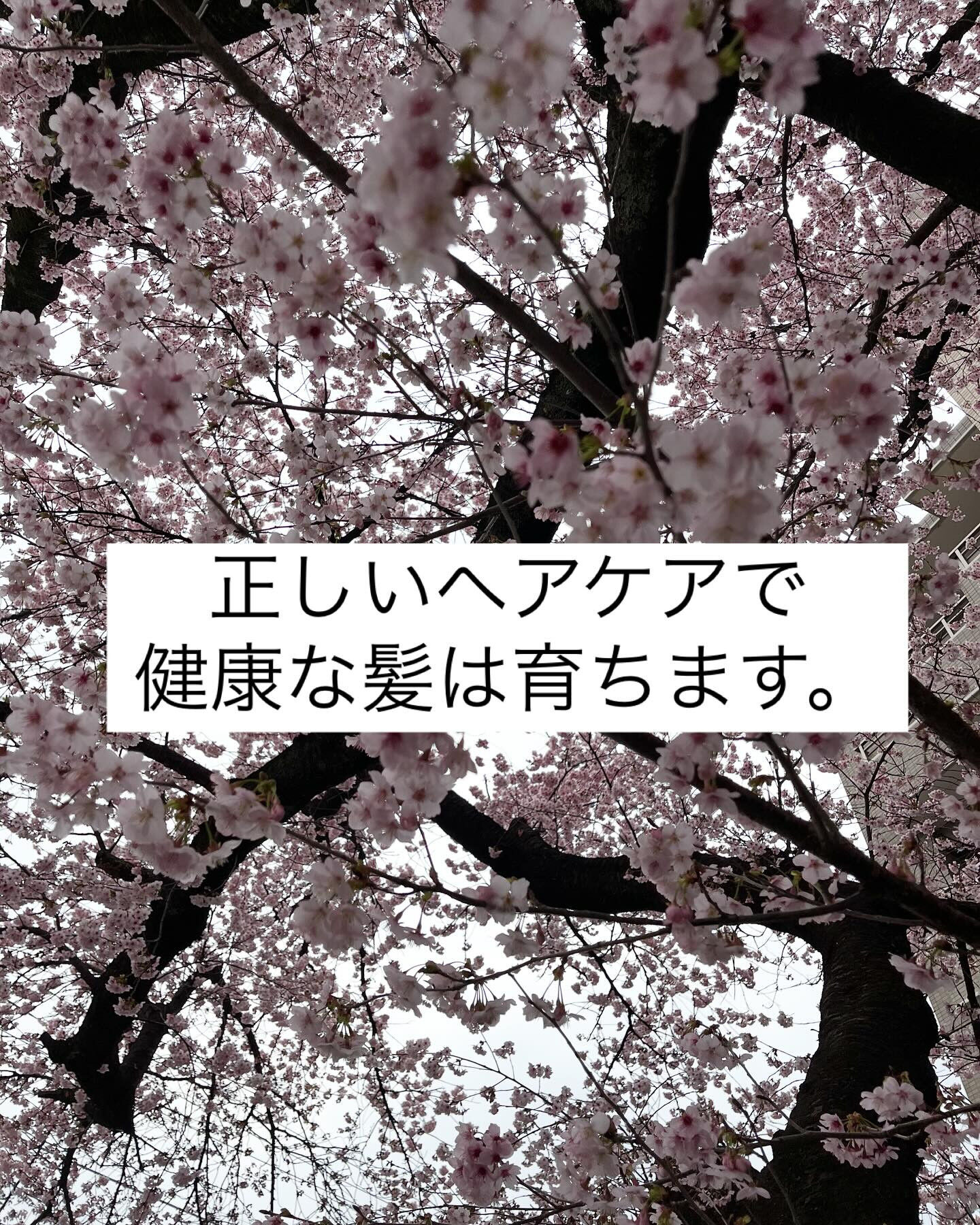 調布市で健康的な頭皮と美しい髪を手に入れたいとお考えの皆様、