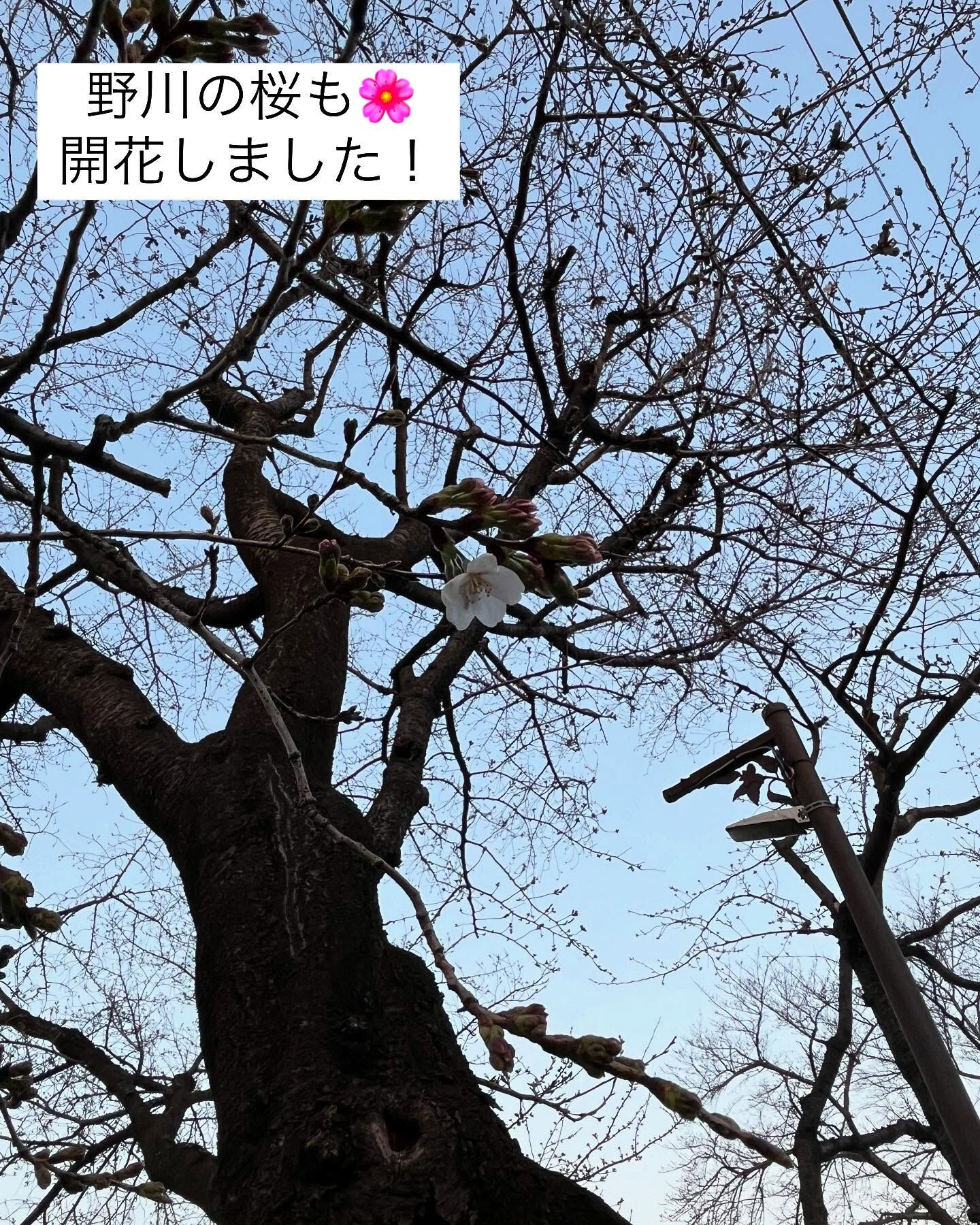 調布市にある美容室は、あなたの髪の悩みを解決し、自分らしさを