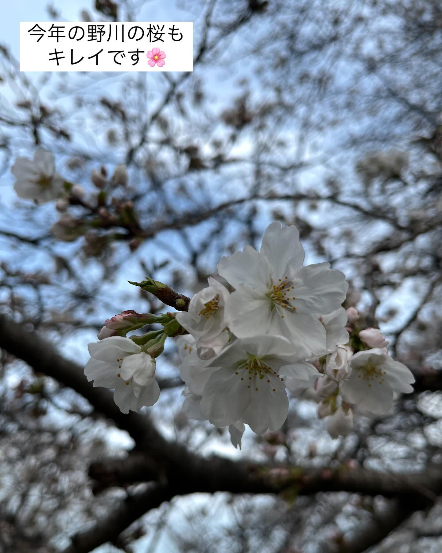 調布市の美容室private hair salon Okuで