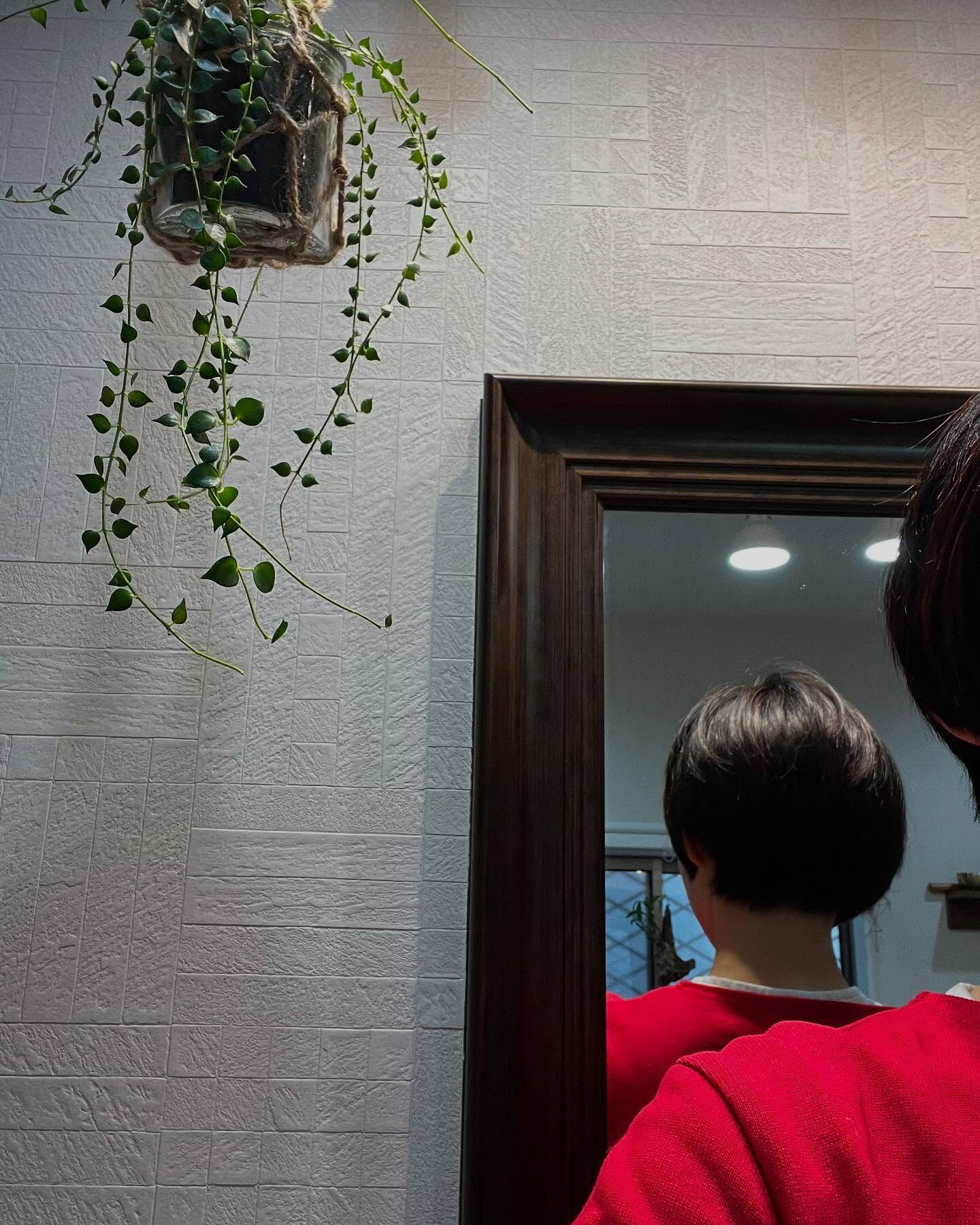 調布市にある美容室でドライカットを体験しませんか？✂️✨