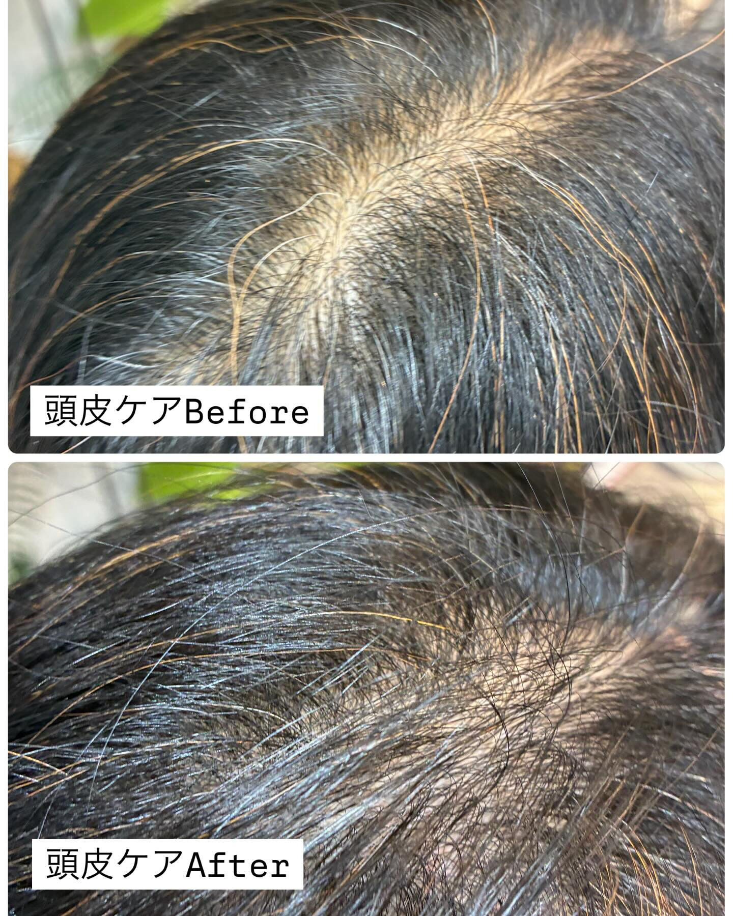 調布市の美容室では、皆様に健やかな髪のための正しいヘアケアを