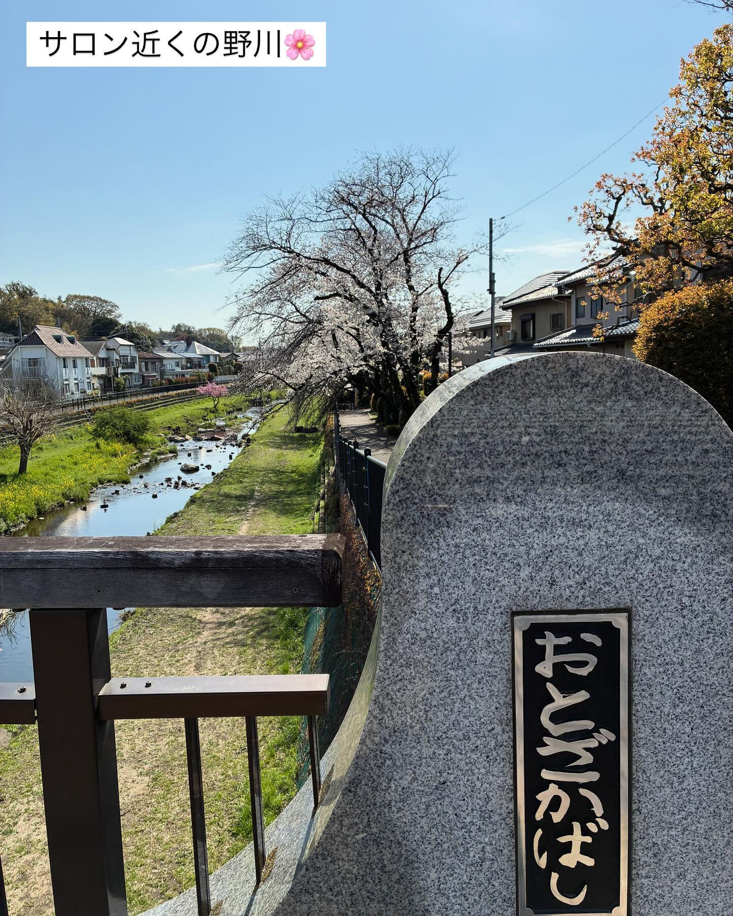 調布市の皆さん🌸、美しい髪はあなたの自信を取り戻し、生き生き