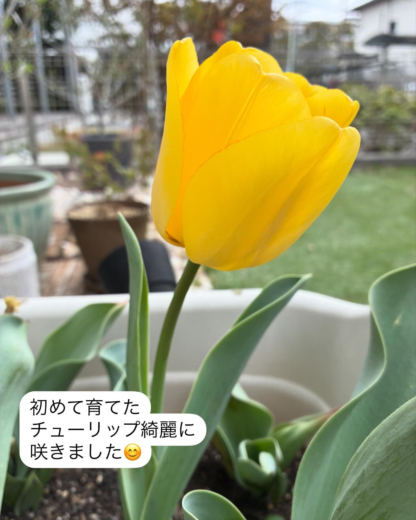 調布市にある完全予約制の美容室で、あなたのお悩みに応じたヘア
