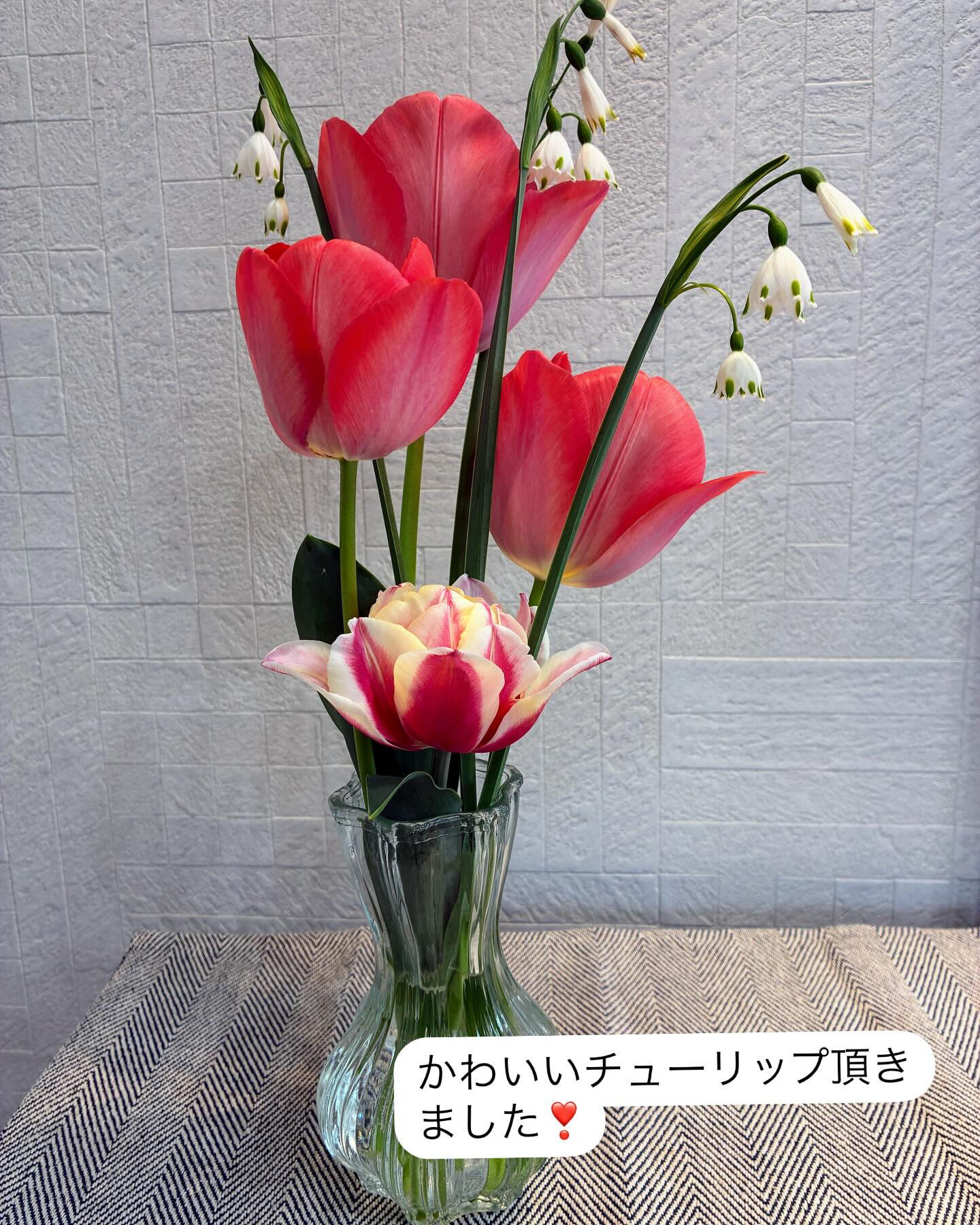 薄毛のお悩みのある60代女性へ