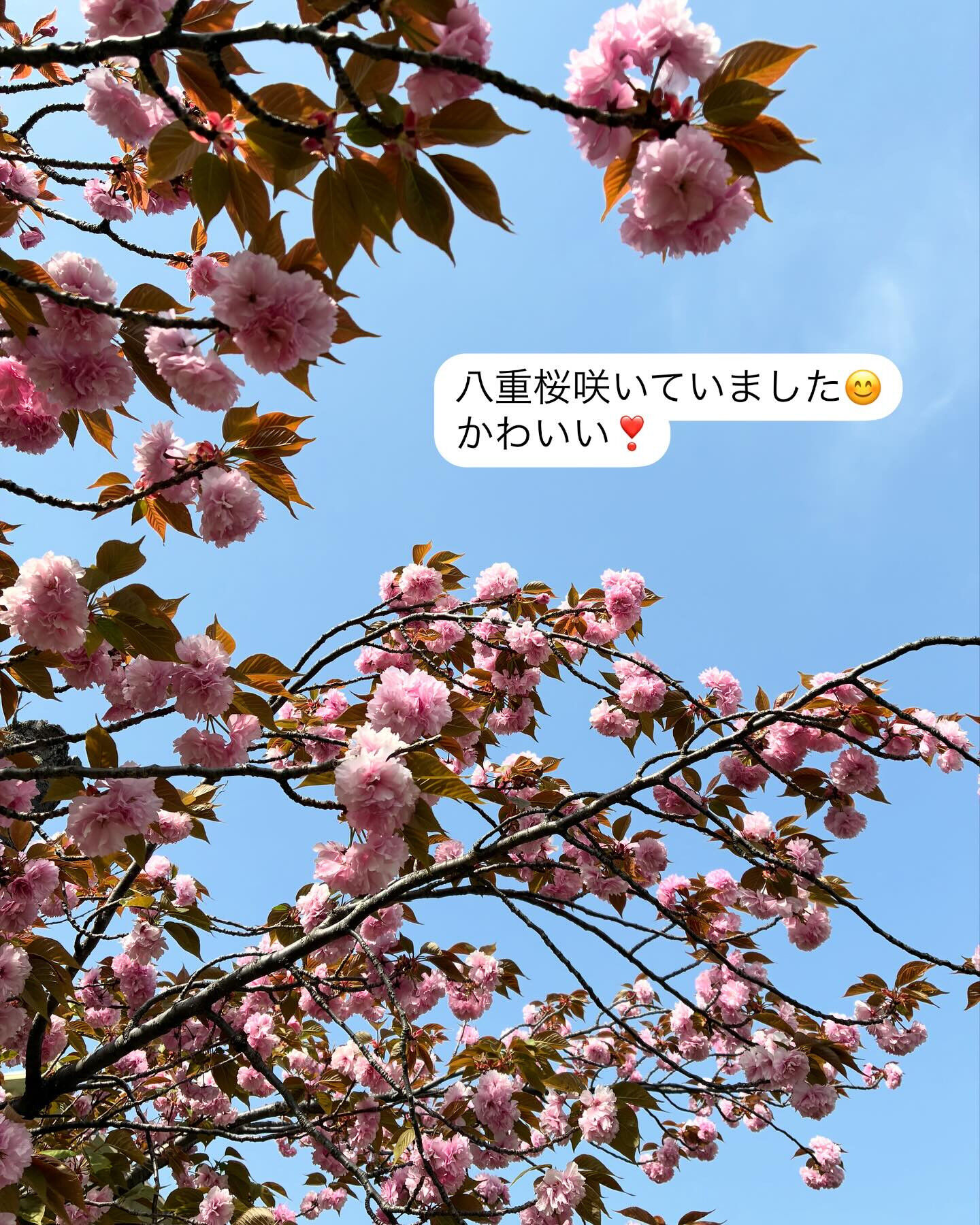 調布市で自分らしくナチュラルなヘアスタイルを見つけませんか？