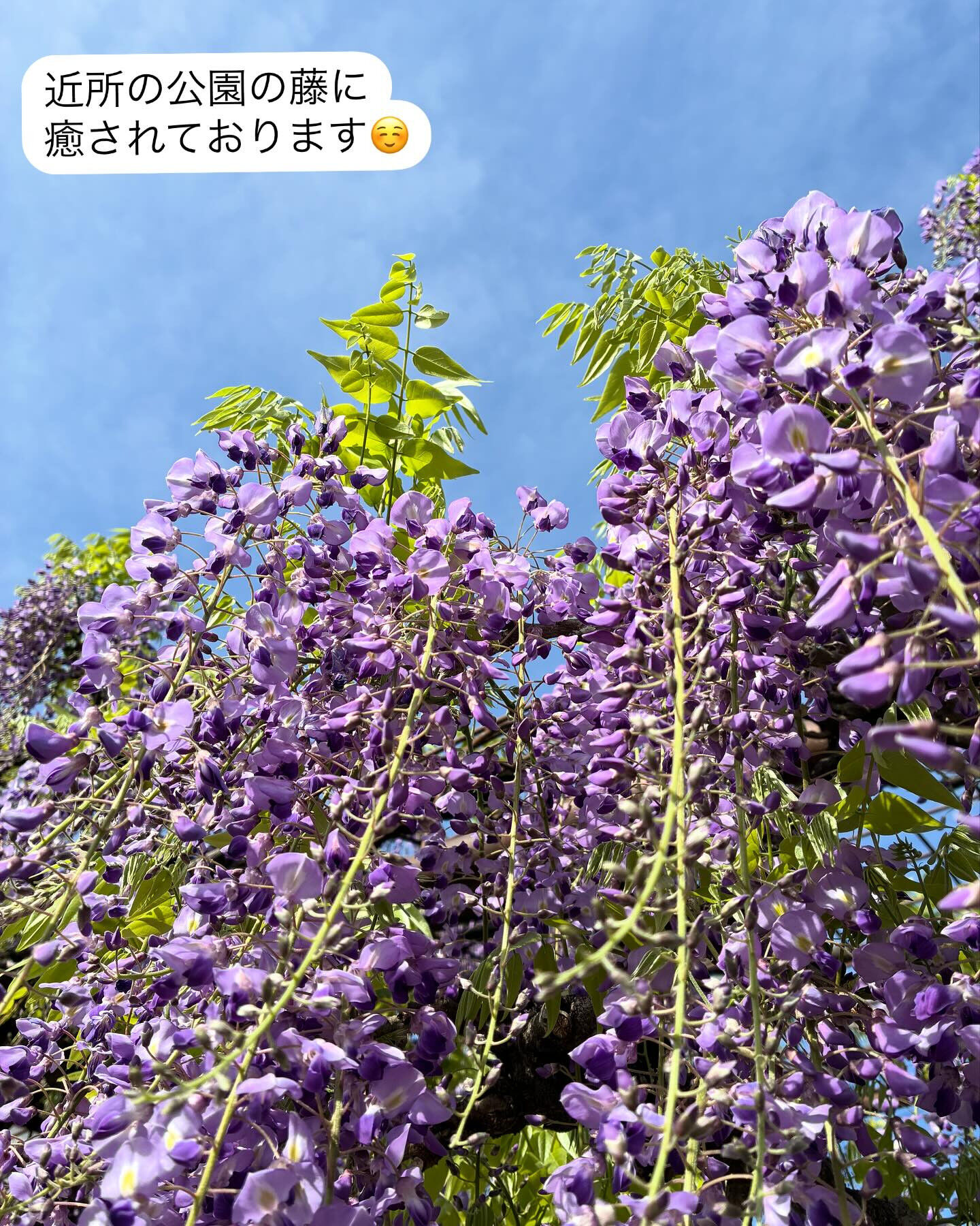 調布市にお住まいの皆様、髪や頭皮に関するお悩みはありませんか