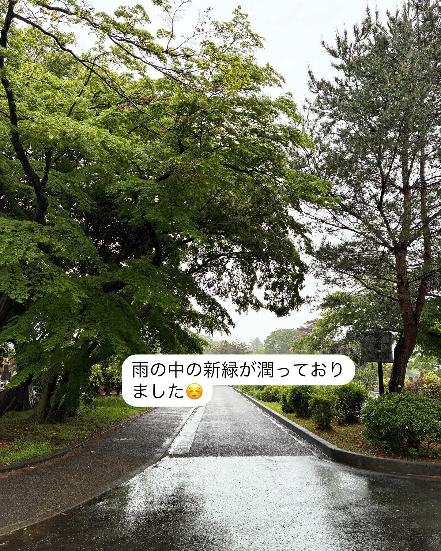 調布市の多摩エリアに素晴らしい美容室があります🌟