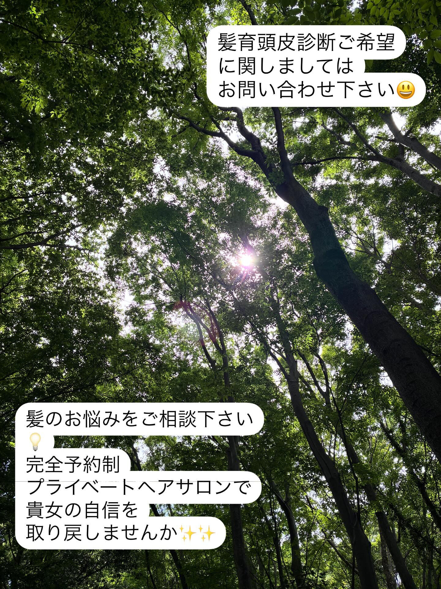 調布市にお住まいの60代、50代の女性の皆様、こんにちは😊