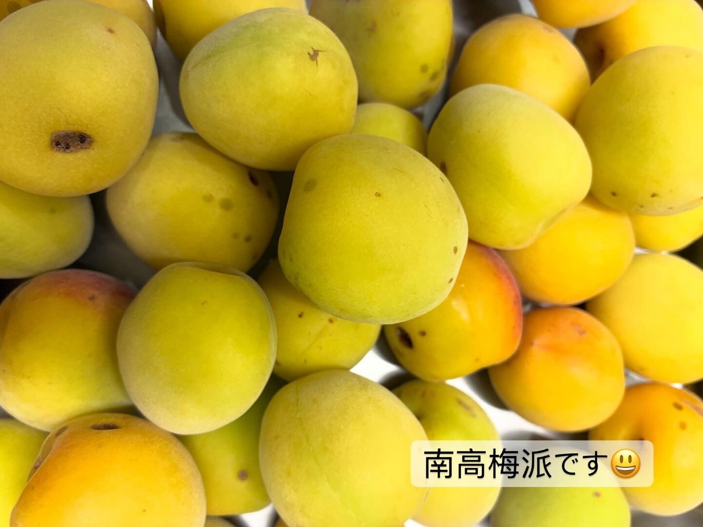 調布市富士見町の天然生活大好きなプライベートヘアサロンOku