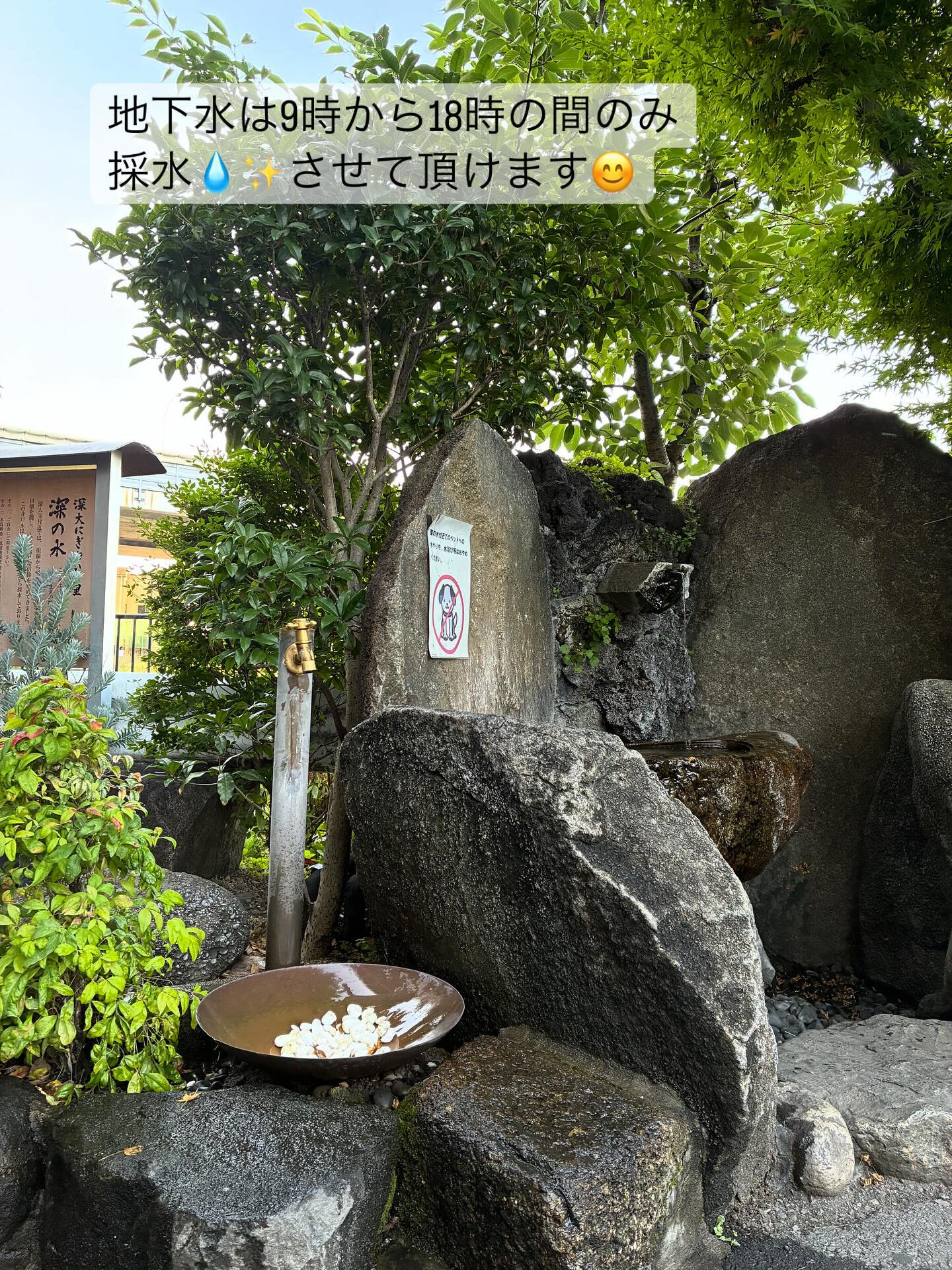東京都調布市にあるプライベートヘアサロンOkuでは、特別な体