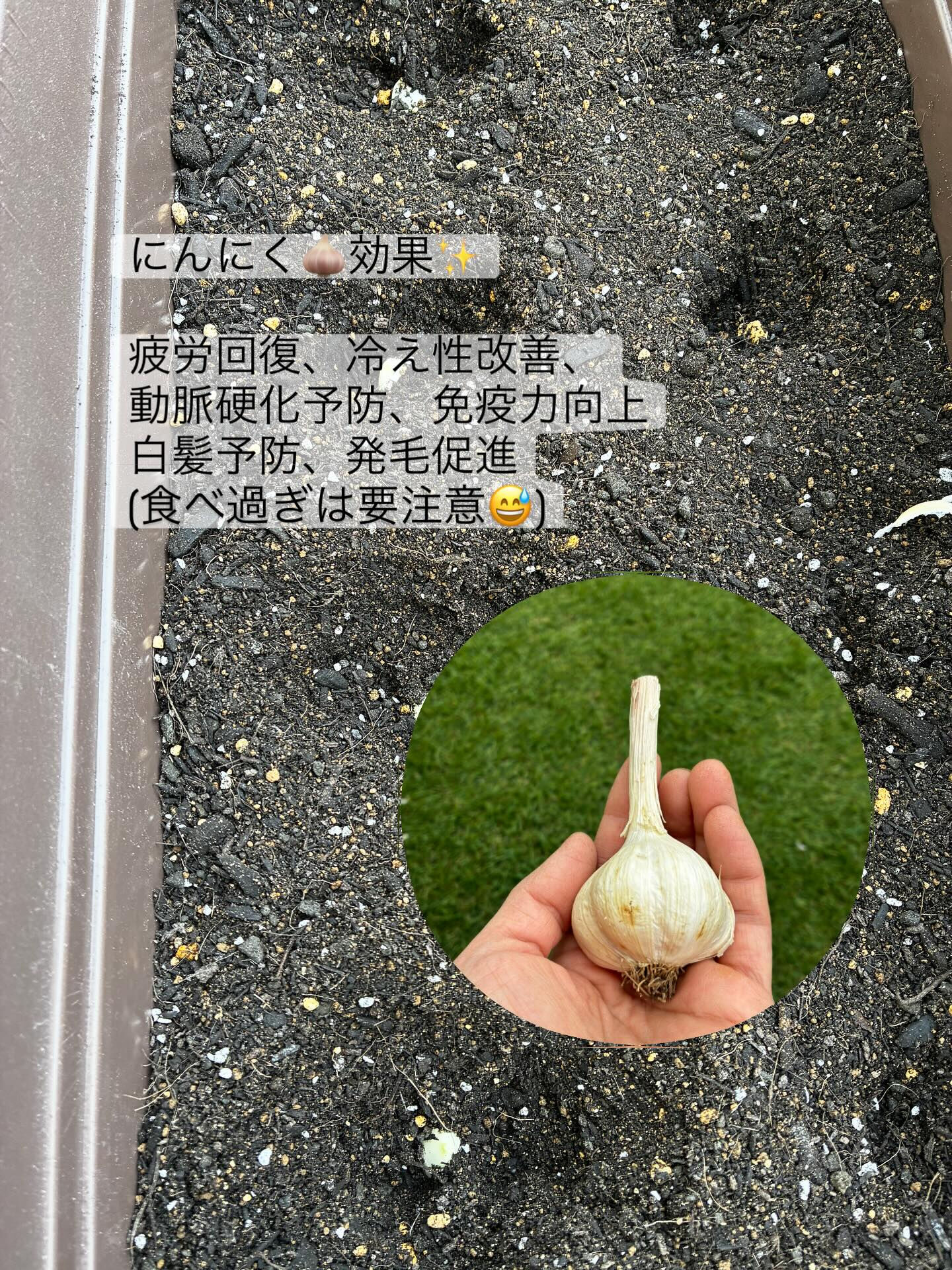 調布市にあるプライベートヘアサロンOkuの酒井です